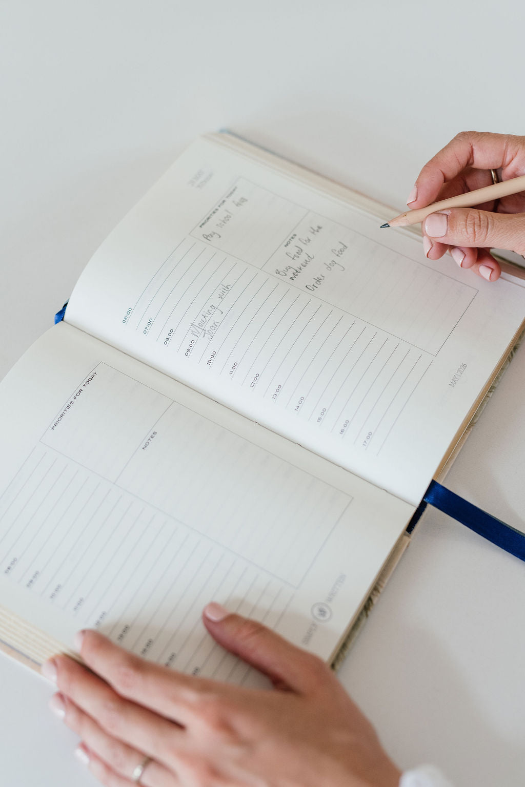2026 Daily Planner - Cape Shells